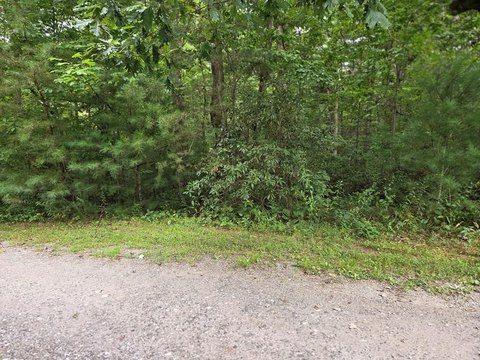 Land, Franklin, NC