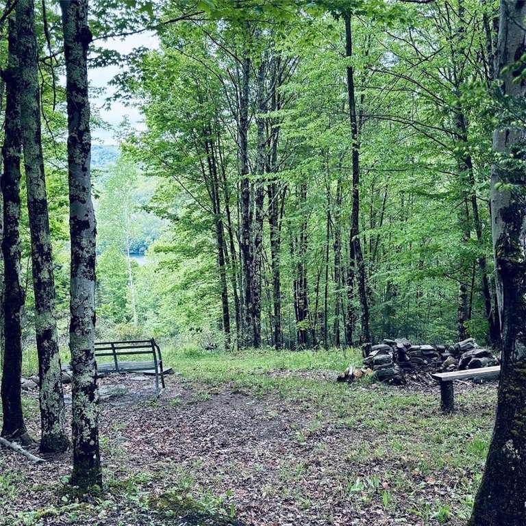 Picture 7