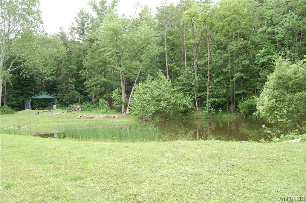 Picture 5