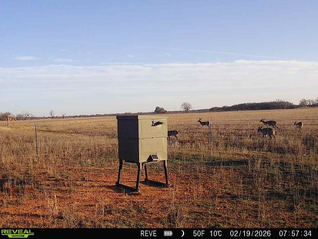 Picture 27