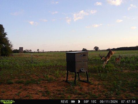 Unrestricted Ranch Land with Pond