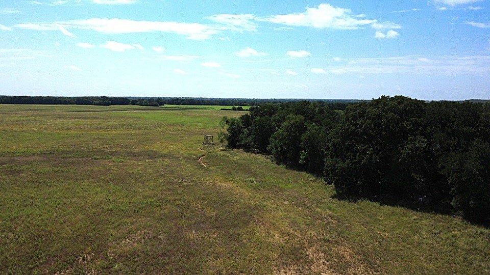 Picture 4