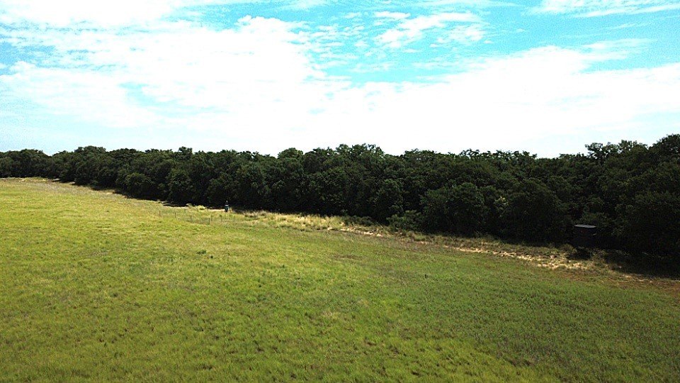 Picture 14