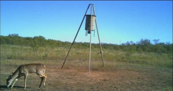 Picture 24