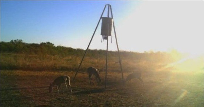 Picture 3