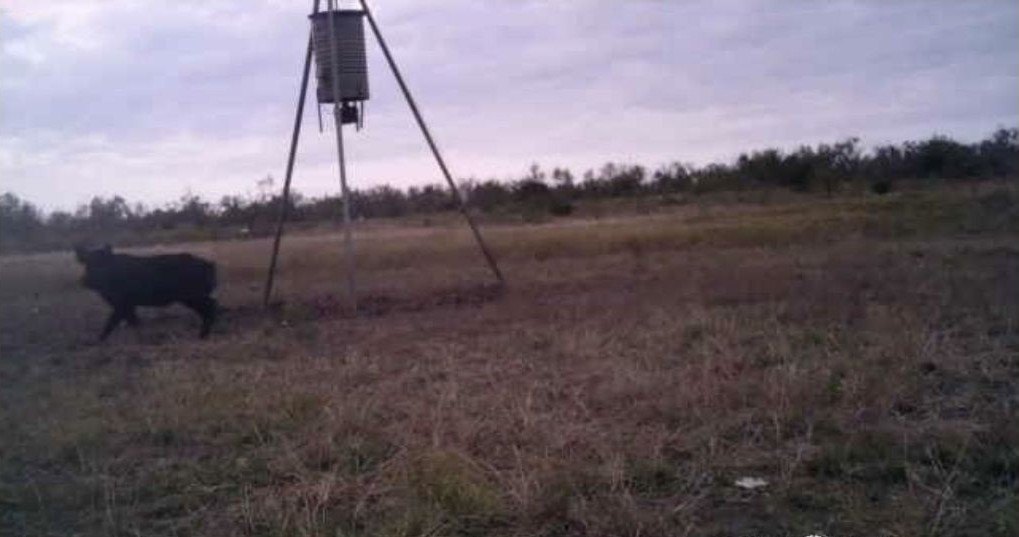 Picture 26