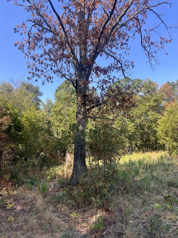 Picture 6