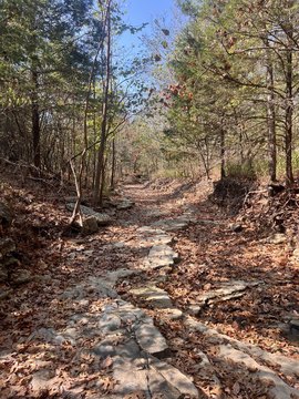 Land, Mountain Grove, MO