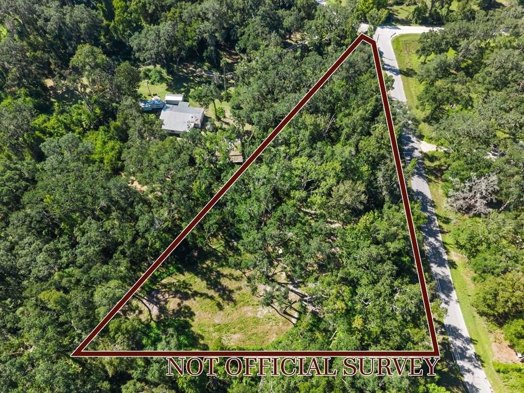 Land in Old Town, FL