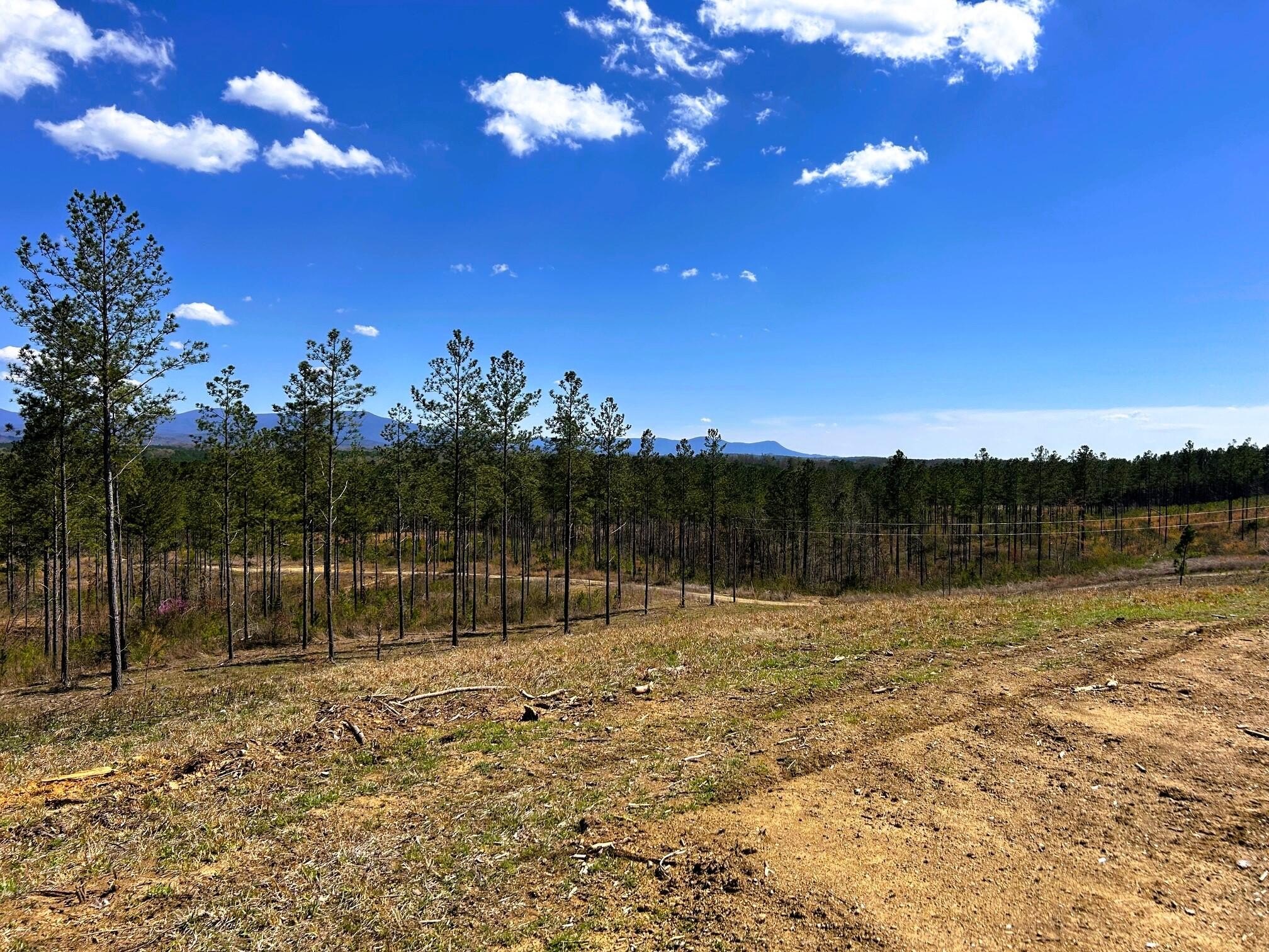 Land with Mountain Views