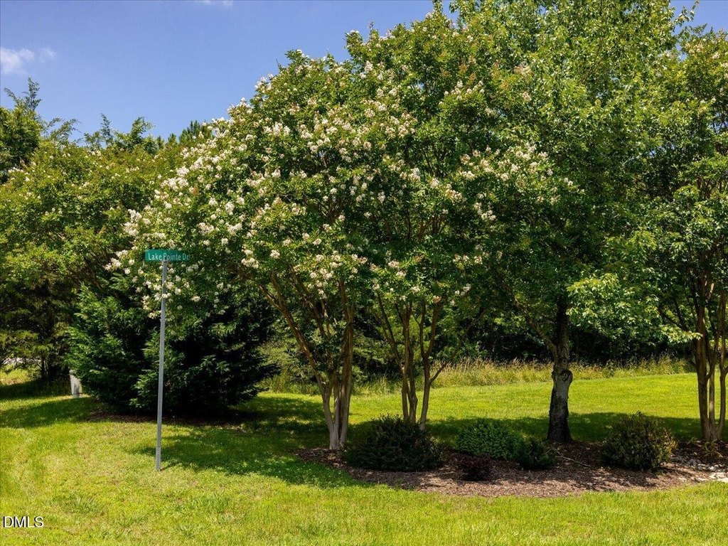 Picture 38
