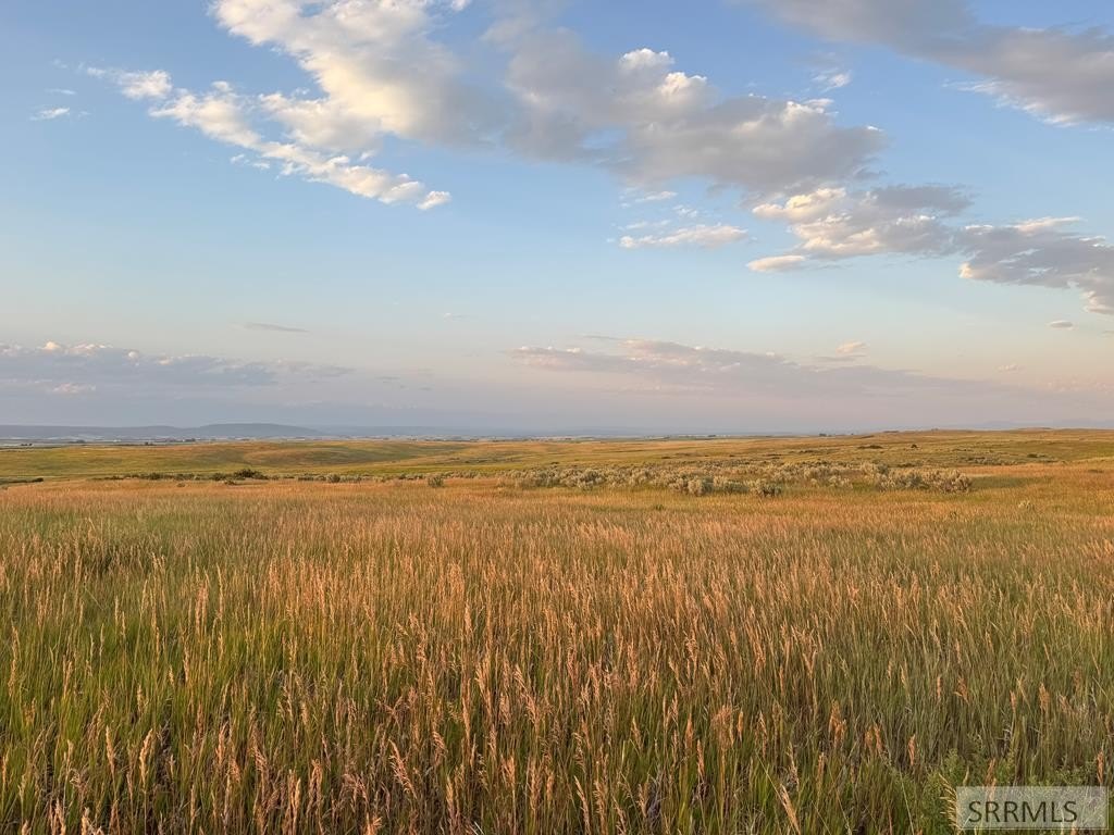 40 Acres Recreational Land, Views