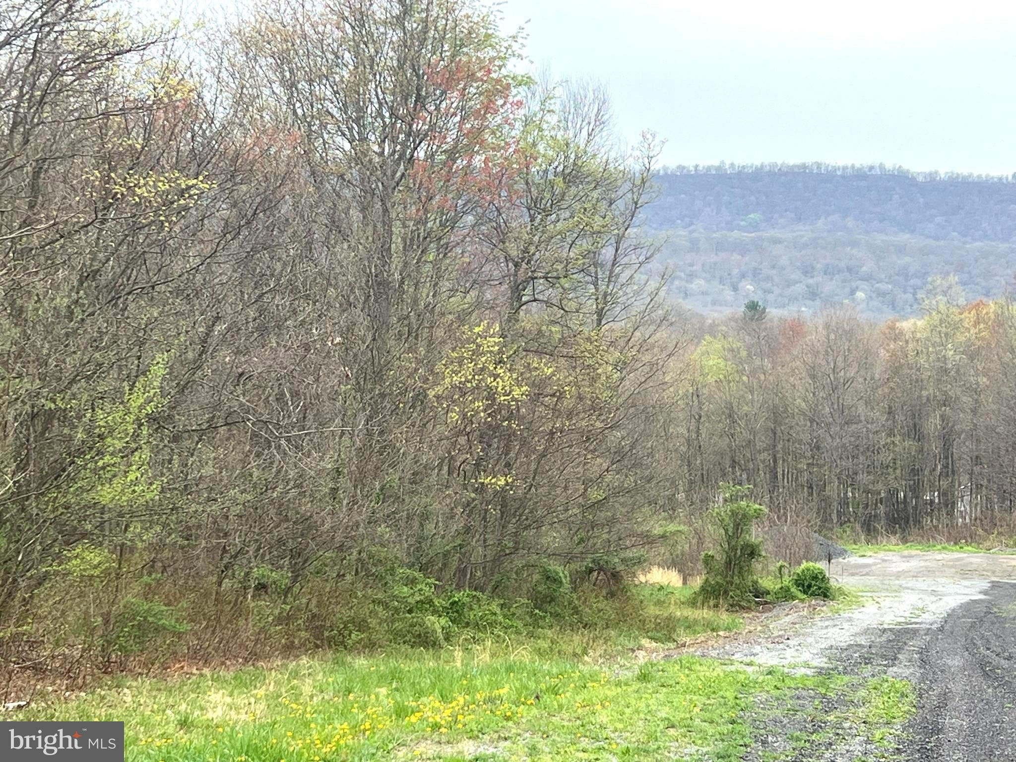 Residential Land in Little Ridge Estates