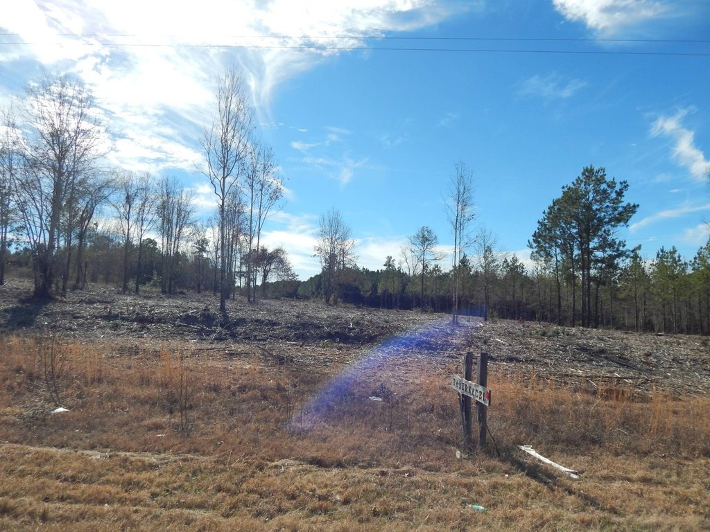 Picture 3