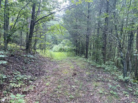 103 Acres Wooded Mountain Retreat