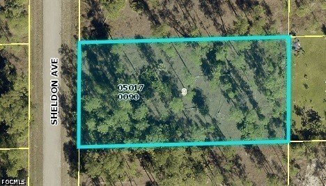Land, Lehigh Acres, FL