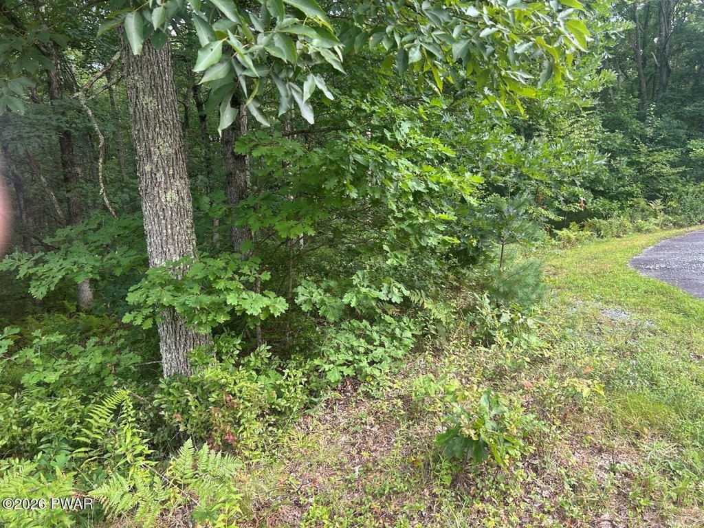 Picture 10