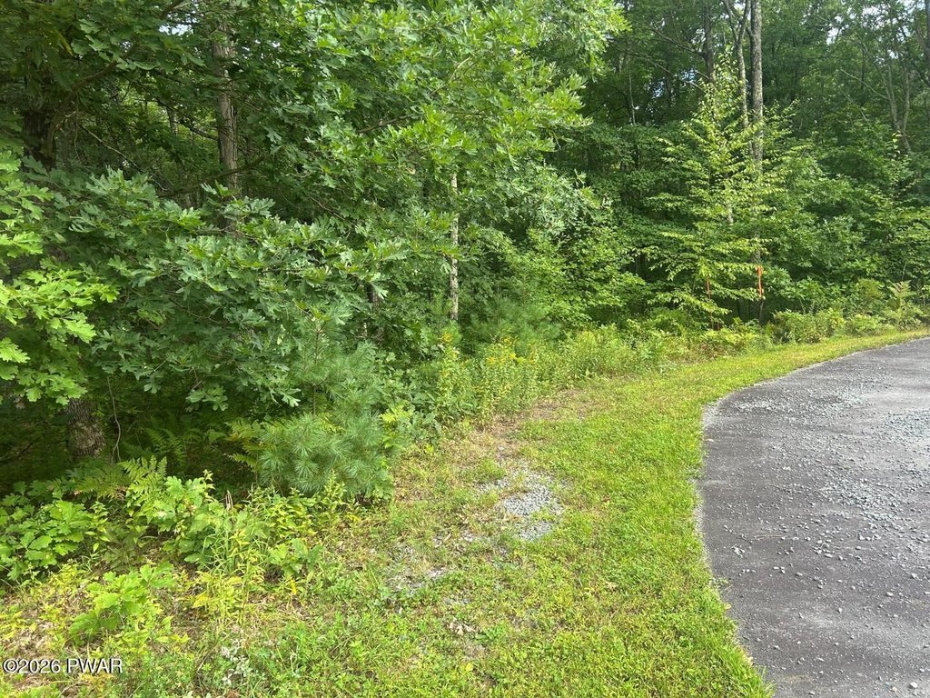 Picture 7
