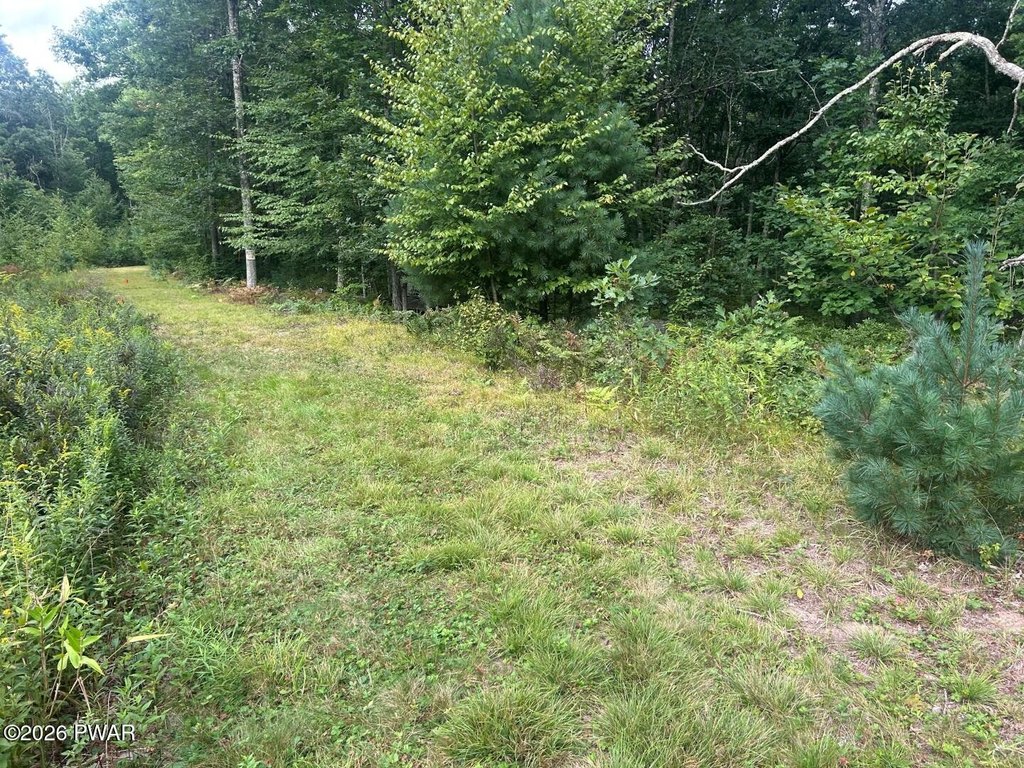 Picture 4