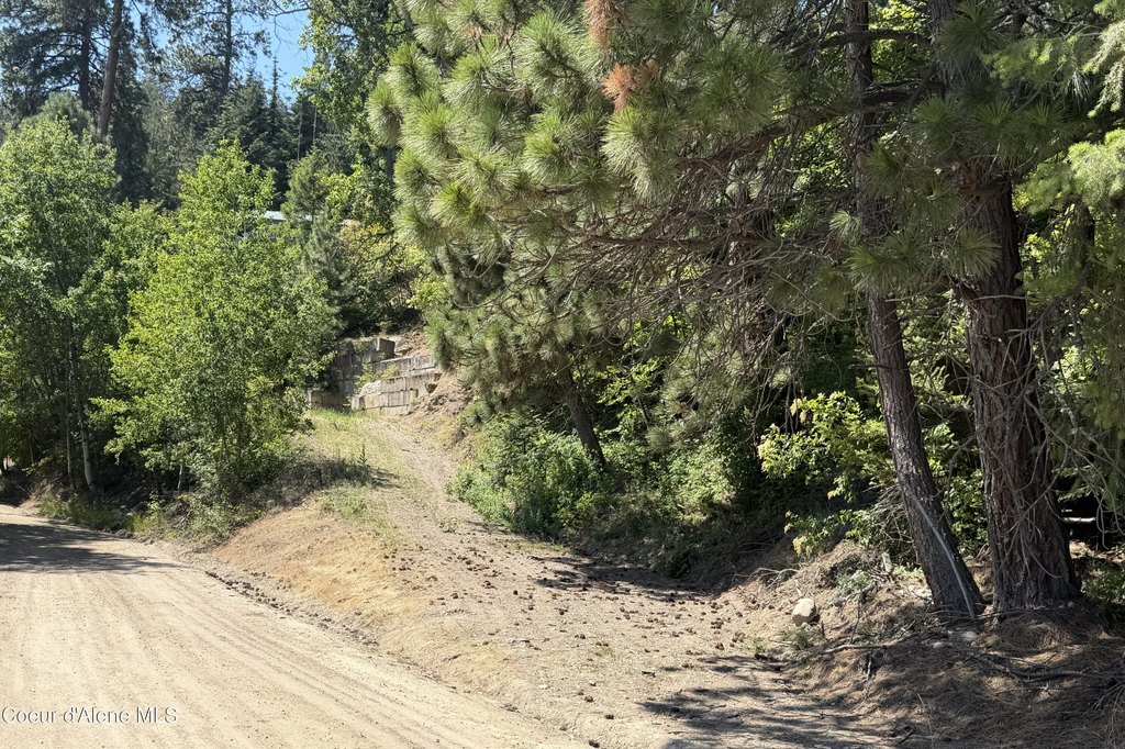 Picture 16