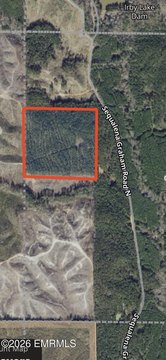 Hunting Land with Pine Plantation