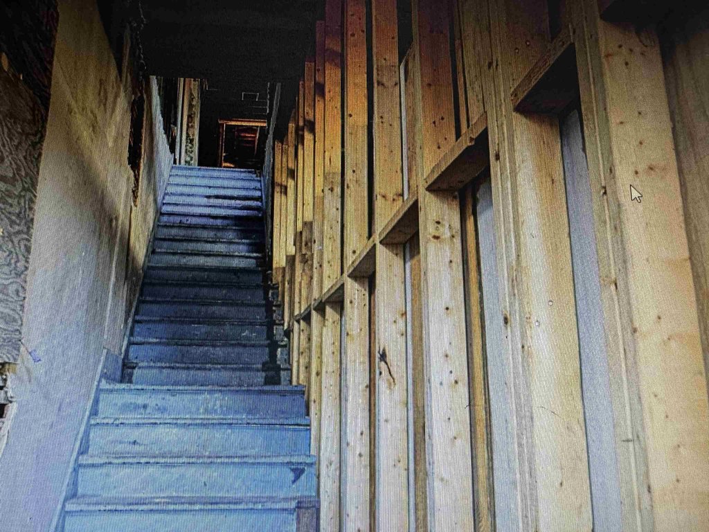 Picture 11