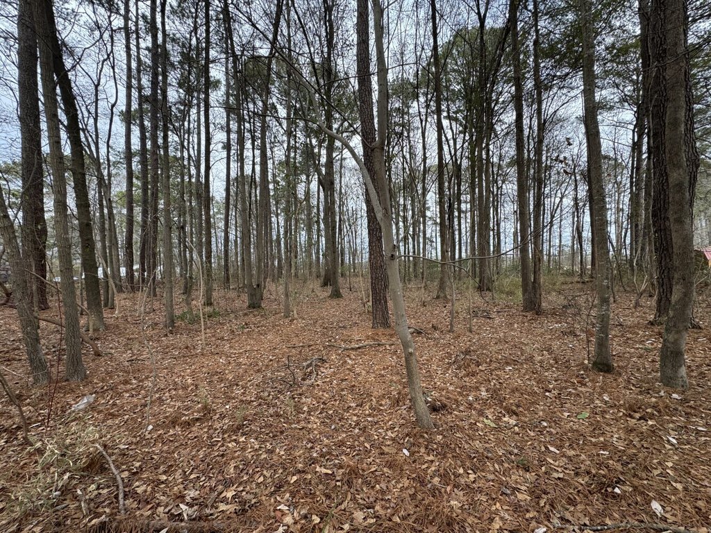 Picture 8