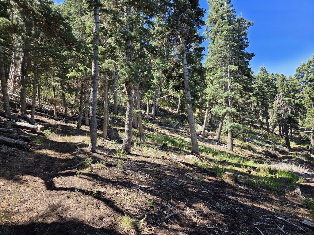 Picture 24