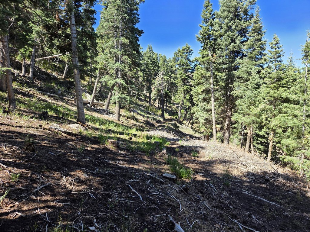 Picture 25