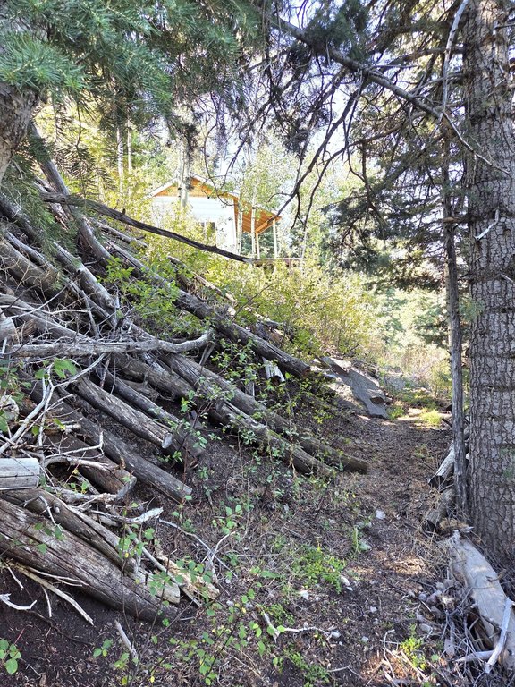 Picture 14
