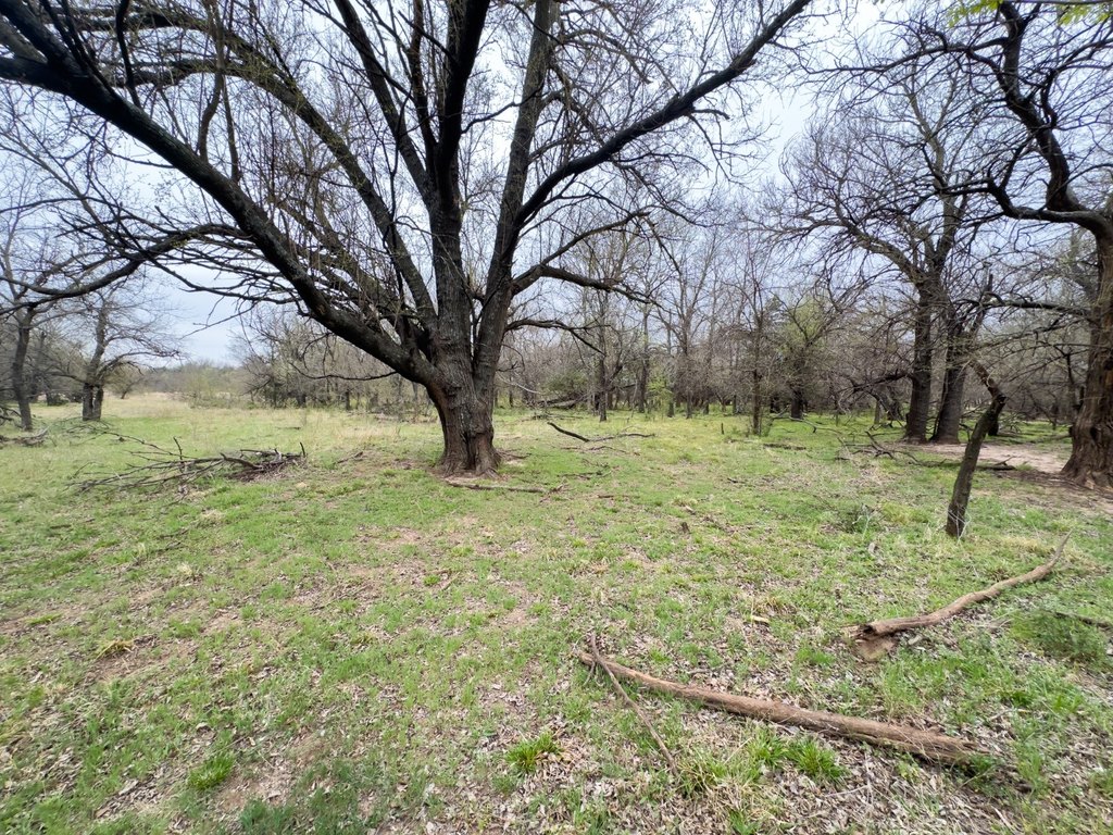 Picture 46