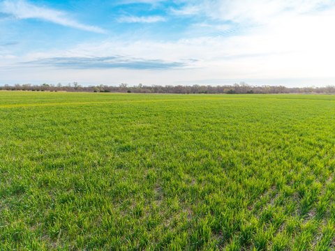 Agricultural Tract with Tillable and Pasture