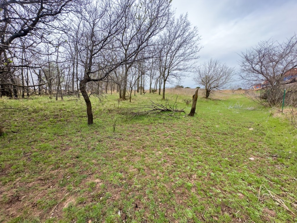 Picture 43