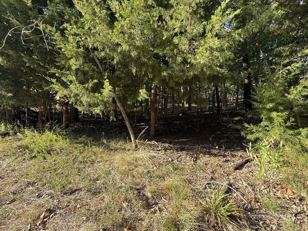 Picture 16