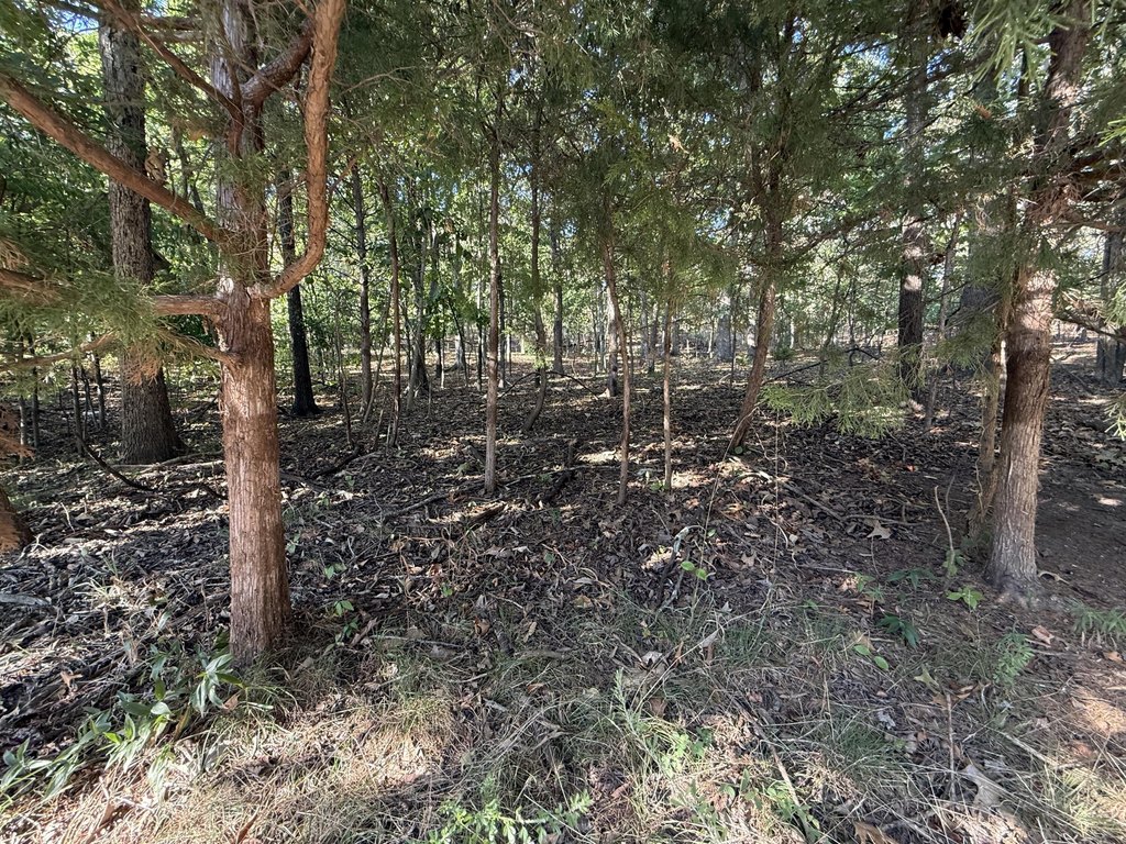 Picture 2