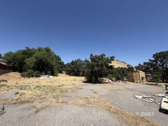 Picture 23