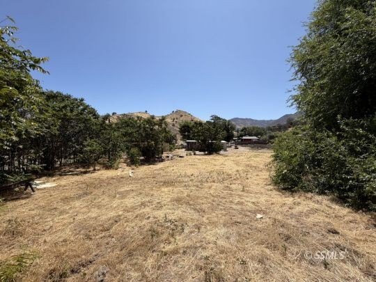 Picture 19