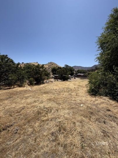 Picture 20