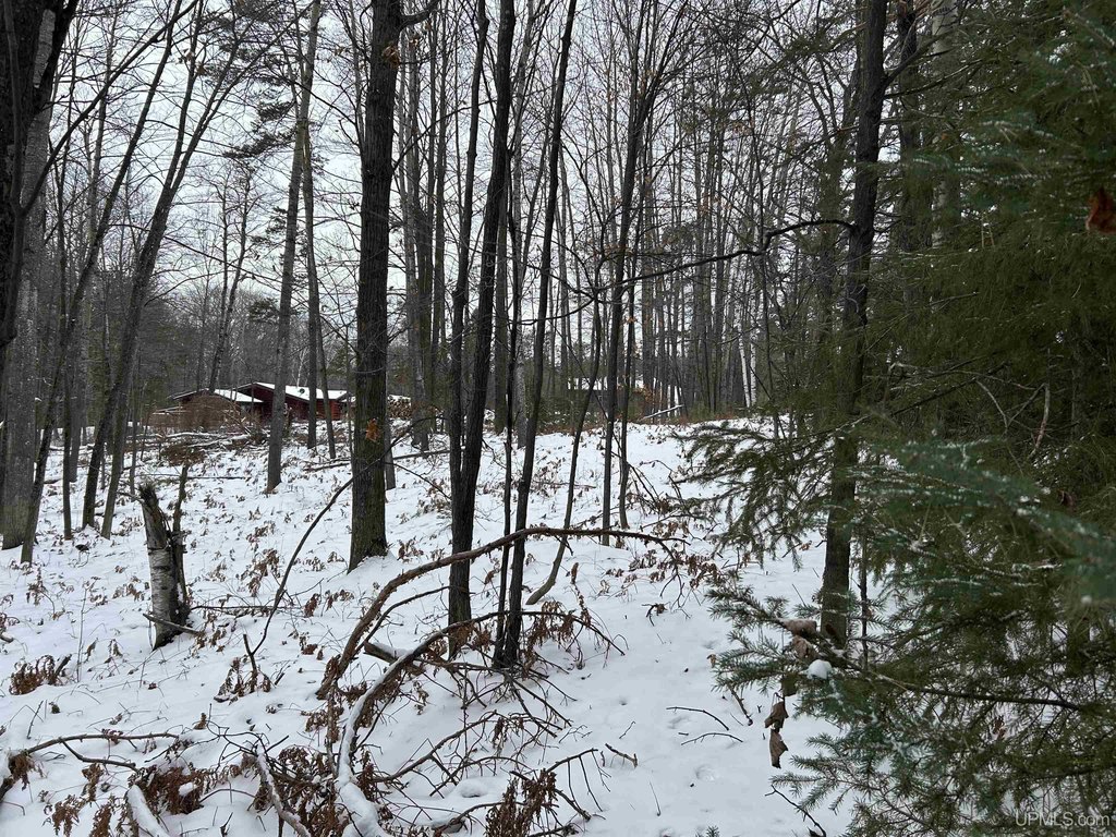 Picture 15