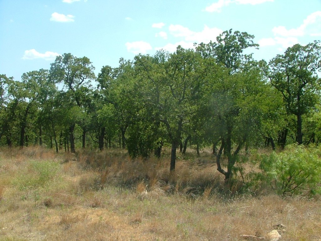 Picture 7