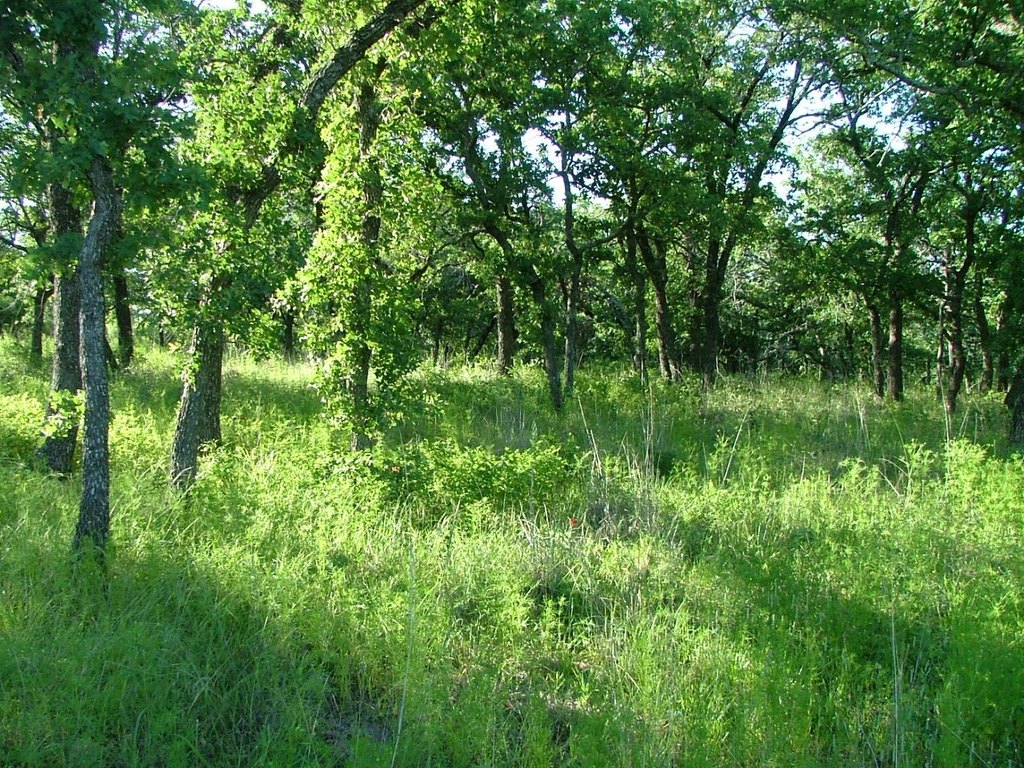 Picture 12
