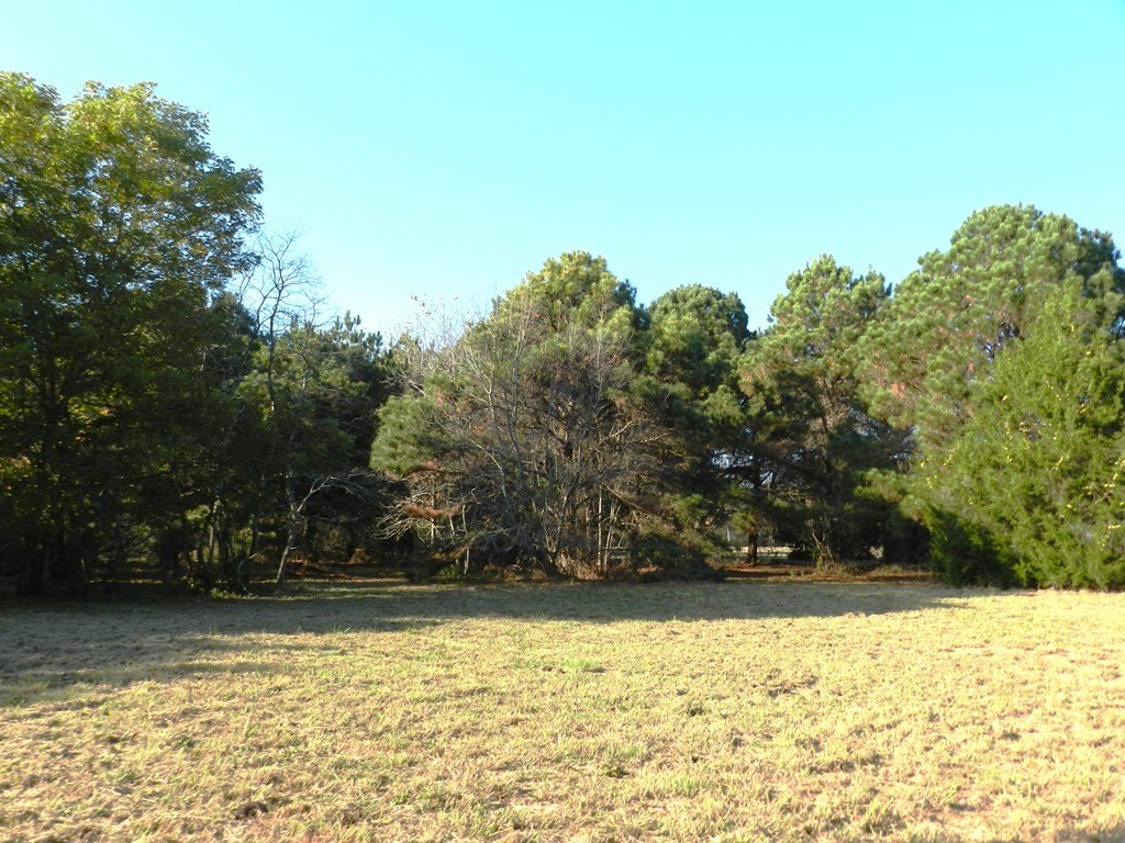 Picture 10