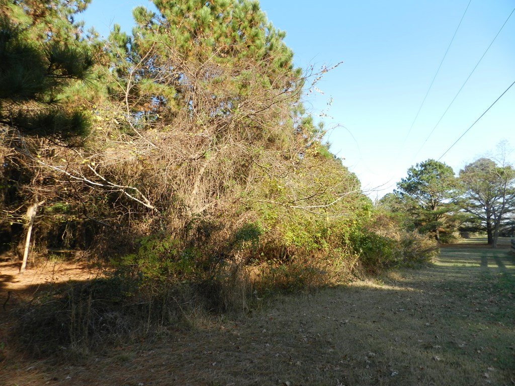 Picture 19
