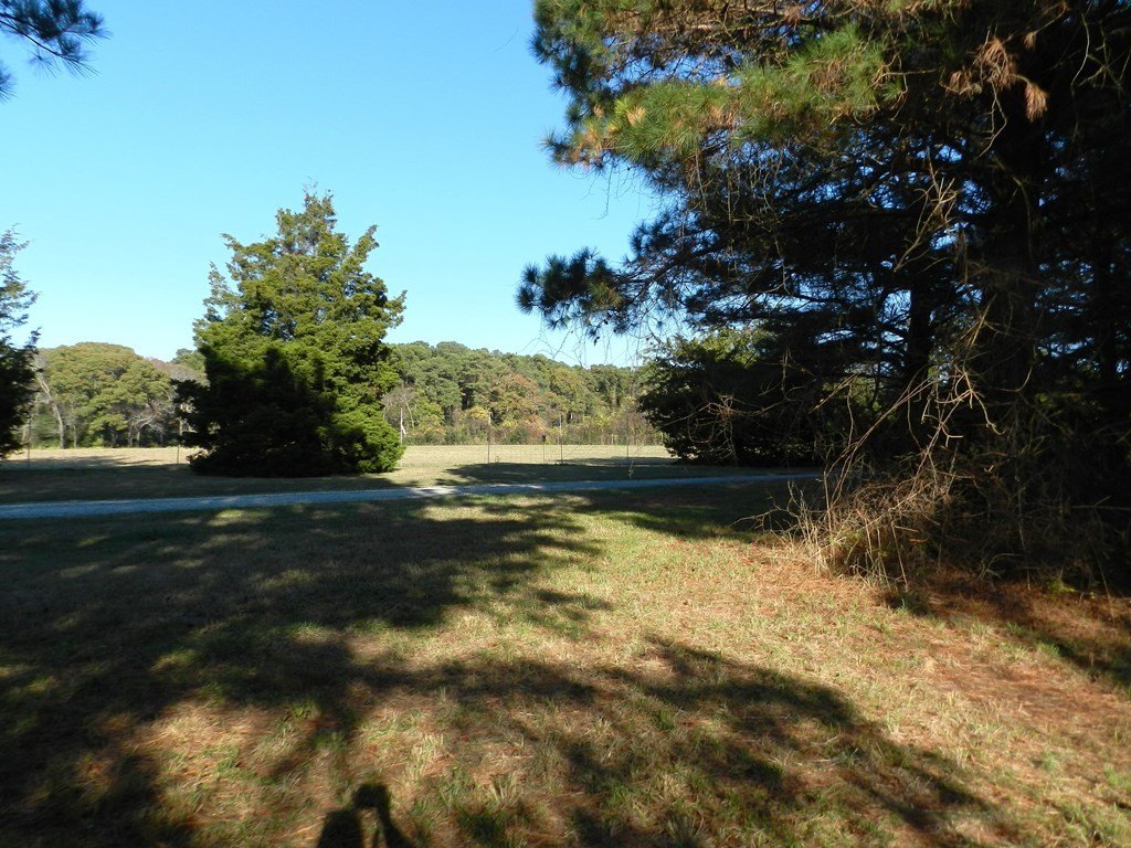 Picture 20