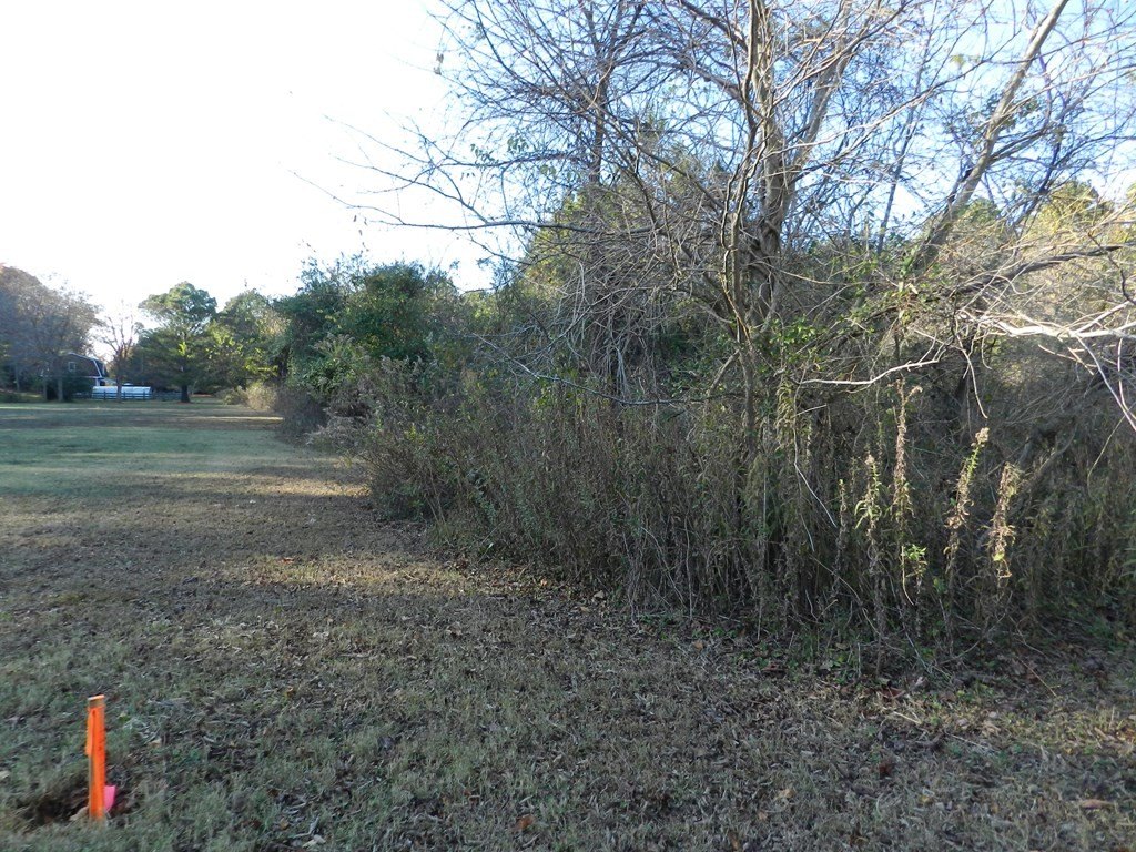 Picture 28