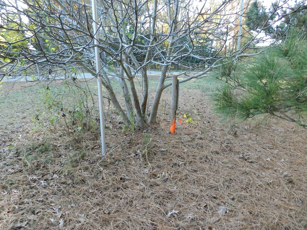 Picture 18