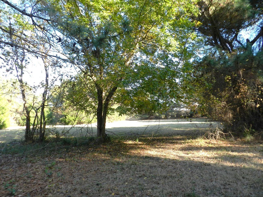 Picture 16