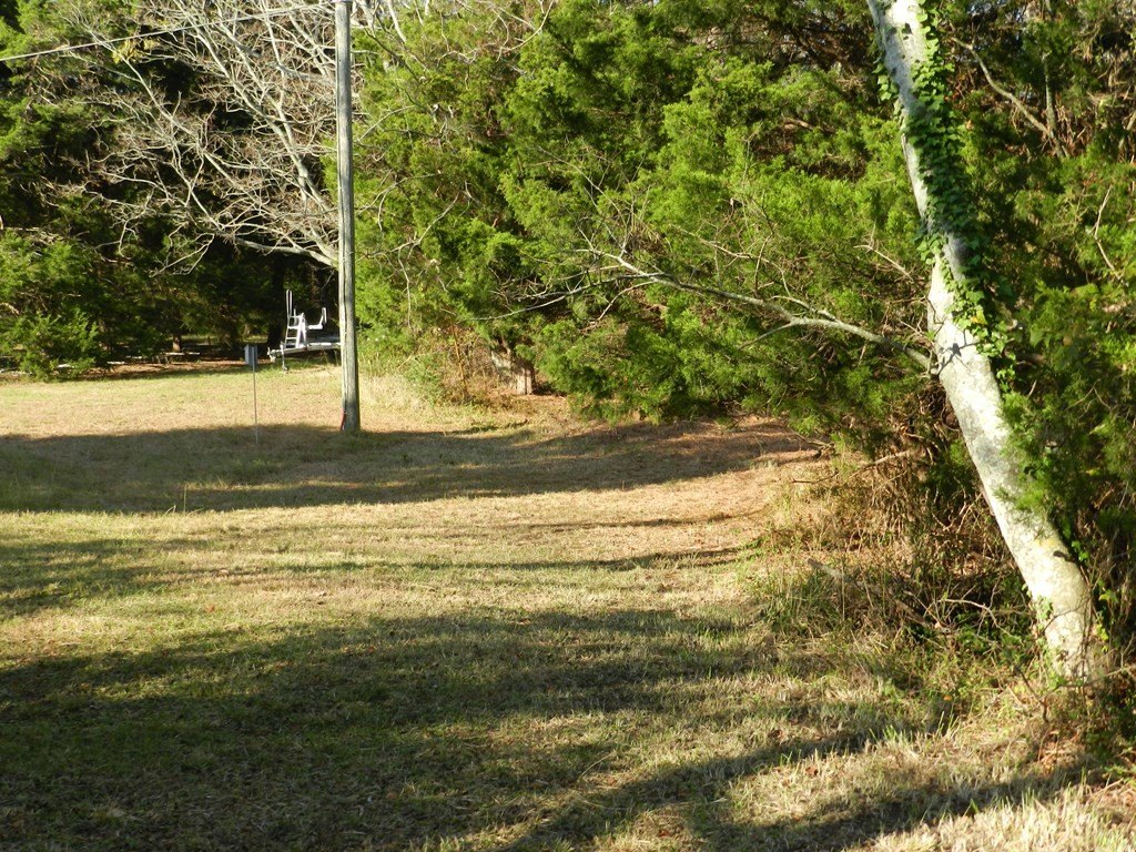 Picture 24