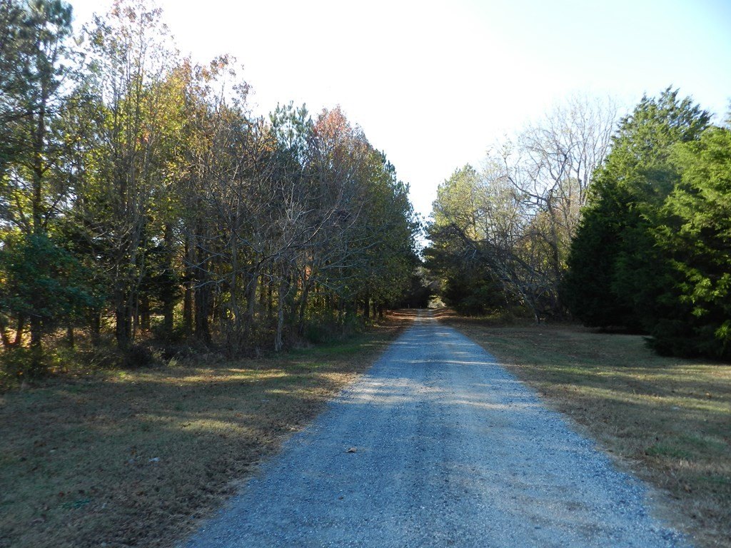 Picture 22
