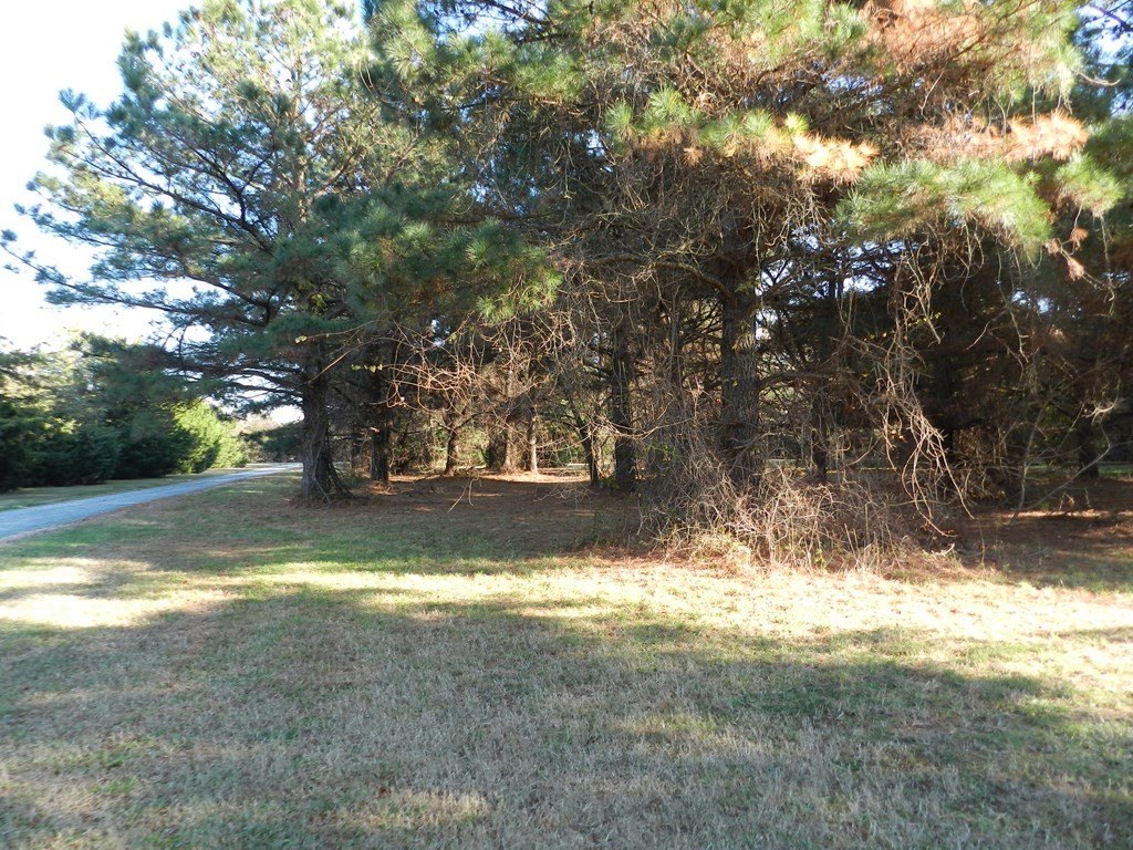Picture 21